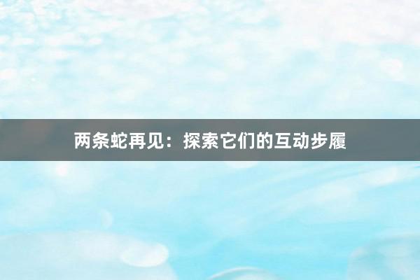 两条蛇再见：探索它们的互动步履